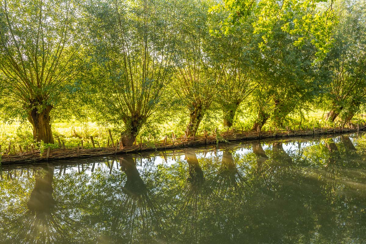 Grüne Natur in Utrecht am Wasser