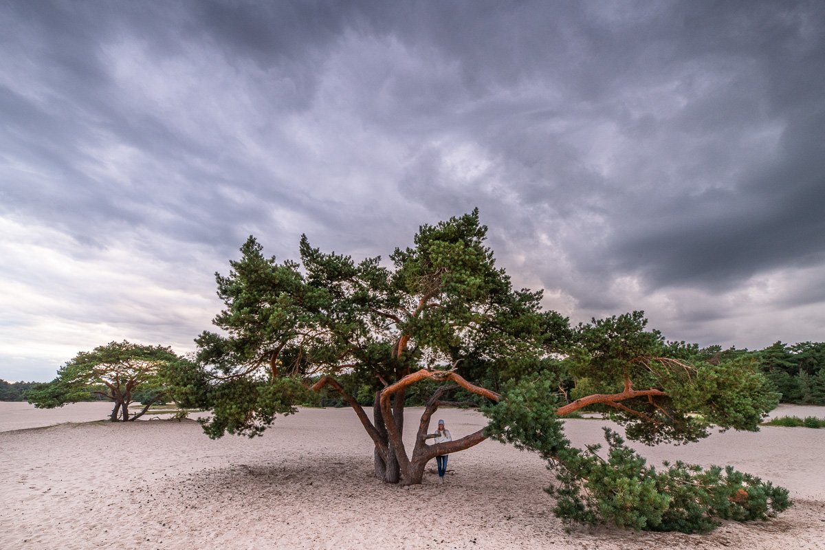 Frau steht unter einem großen Baum auf einer Sanddüne